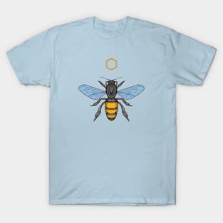 honey bee and honeycomb T-Shirt